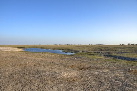Landscape in Chobe National Park, Botswana, Africaの写真素材