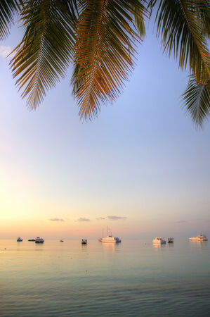 Panorama of beach on Maldives in duskの写真素材