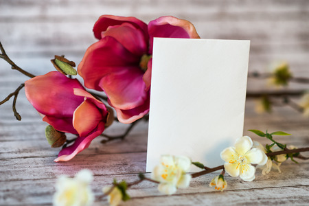 Pink magnolia and spring blossom with a blank card for your greeting or seasonal wishes, Valentines or anniversary greeting on a rustic wood backgroundの写真素材