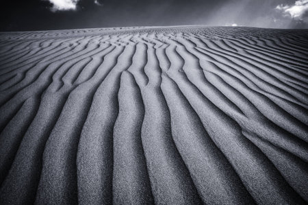 Panorama View of Tranquil Empty Desert Place in Monochrome Color for Wallpaper Backgrounds.の写真素材
