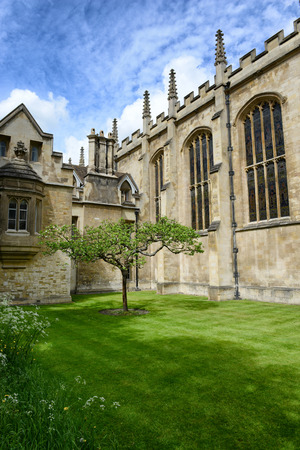 Lone Chestnut Tree in Tudor-Gothic Style New Court at Trinity College, University of Cambridge, England - Popular Tourist Attraction and Rumored to be Isaac Newton Apple Treeのeditorial素材
