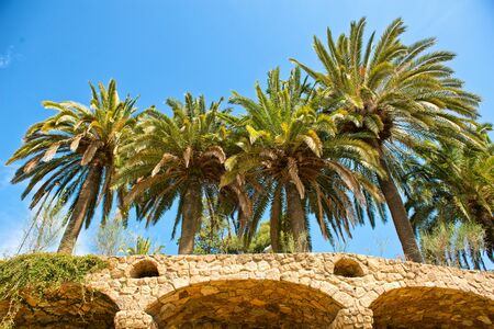 BARCELONA, SPAIN - MAY 02: Palm Trees and Stone Arches at Park GÃÂ¼ell ( UNESCO World Heritage Site), hill of El Carmel, GrÃ cia (district), Barcelona, Catalonia, Spain on May 02, 2015のeditorial素材