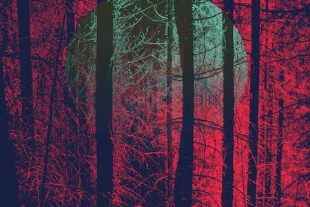 Red Toned Image of Bare Tree Trunks in Evergreen Forest with Green Moon and Eerie Quality, Ideal for Backgroundsの写真素材