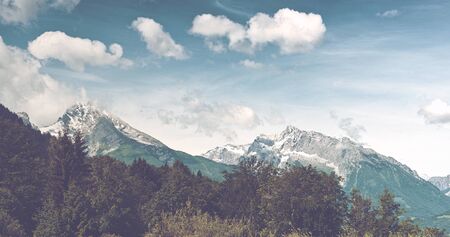 Pathway through grassy meadow with lush green trees, snow-capped mountain vista in backdrop beneath blue sky and white cloudsの写真素材