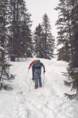 Rear view perspective on pair of unidentifiable snowshoe hikers moving up snow covered hill surrounded by alpine treesの写真素材