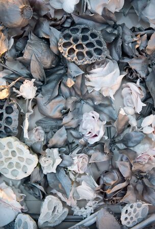 Floral background with blossoms and wood pieces in a grey styleの写真素材