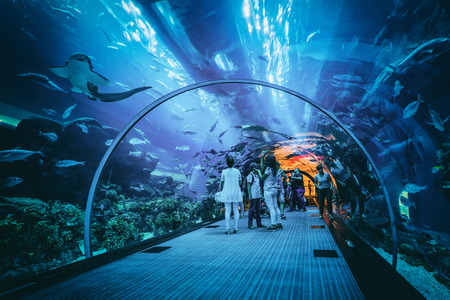 People viewing marine life in the underwater tunnel at the Dubai aquarium, a popular tourist attractionのeditorial素材
