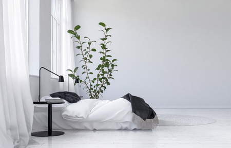 Light bright white modern bedroom interior with a comfortable bed with throws alongside a potted houseplant and bedside table with lamp. 3d Rendering.の写真素材