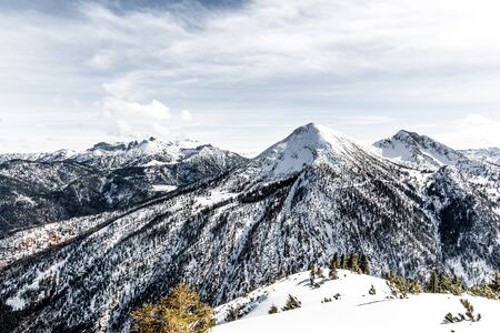 Snow-capped forested alpine peak in a winter landscape viewed from a snowy mountain plateau or summitの写真素材