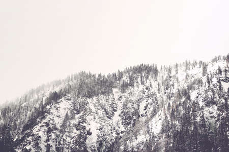 Cold bleak mountainous winter landscape with a high forested peak covered in snow under a grey skyの写真素材