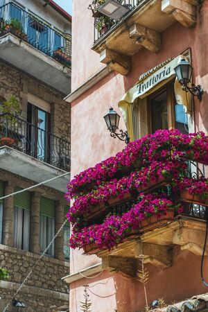 Trattoria or restaurant balcony with purple petunias in rows forming an eye catching display from the street below in Castelmola, Sicily Italyのeditorial素材