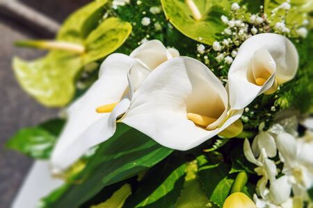 Flower arrangement with white arums and green anthuriums in a close up view on the spadix and spathe of the flowerの写真素材