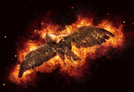 Burning flying hawk or eagle with outstretched wings engulfed in fiery orange flames and exploding sparks over a dark backgroundの写真素材