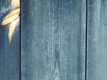 Wooden background from boards of knotty wood. Old boards.の写真素材