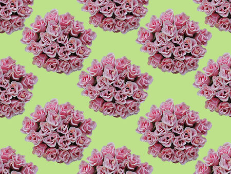 Bouquets of roses on a green background.の写真素材