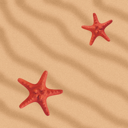 Two red starfish on yellow sand.の写真素材