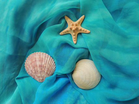Seashells and starfish on turquoise beach pareo textiles. Summer vacation time.