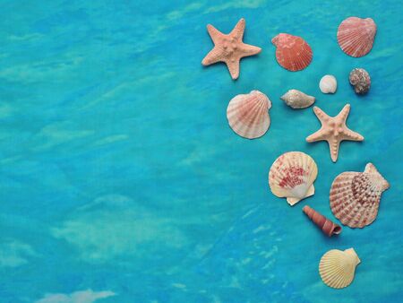 Textiles turquoise sea background with starfish and seashells. Marine composition with copy space...