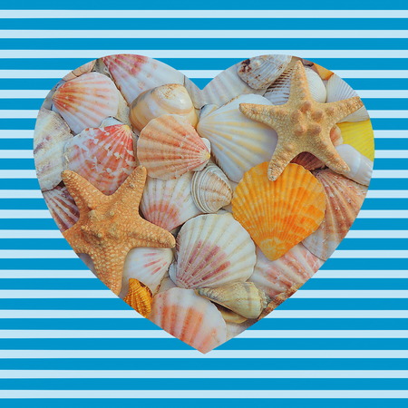 Sea summer composition with sea shells heart on a striped blue background.の写真素材