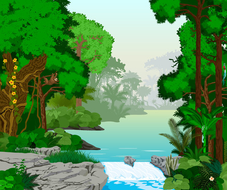 lake in jungle rainforestのイラスト素材