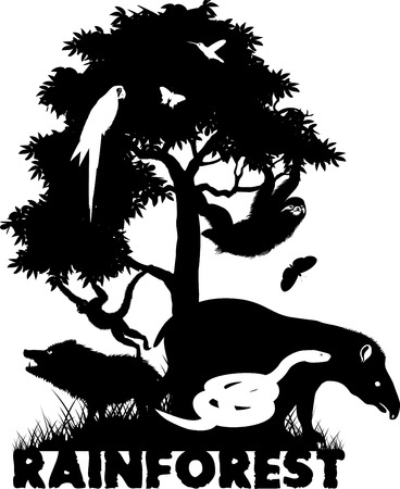 Rainforest illustration with Tropical Forest jungle and animalsのイラスト素材