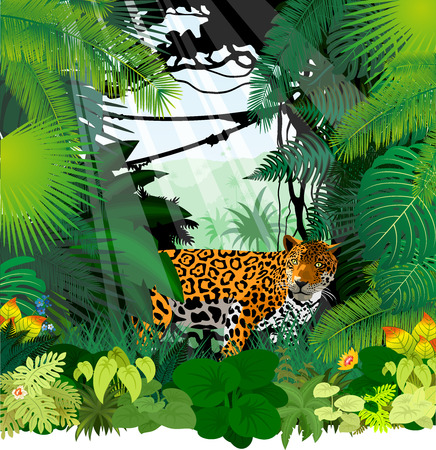 Leopard in Jungle Rainforestのイラスト素材