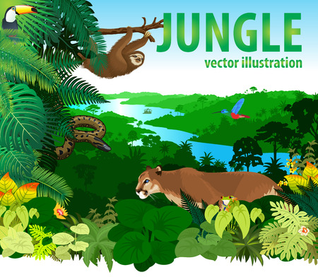 Rainforest Jungle With Different Animalsのイラスト素材 イメージマート Rainforest Jungle With Different Animalsのイラスト素材 イメージマート