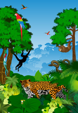 Tropical Rainforest Jungle with animalsのイラスト素材