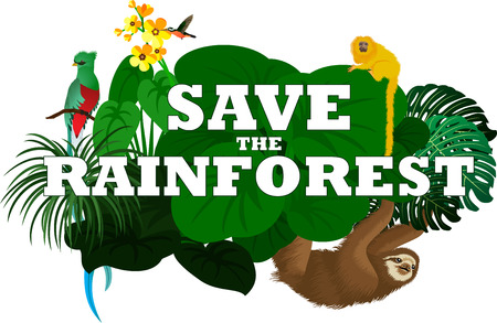 vector illustration with jungle rainforest animals - sloth, quetzal and monkeyのイラスト素材