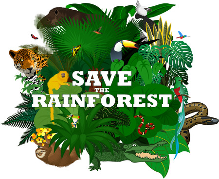 vector illustration with jungle rainforest animals - sloth, quetzal and monkeyのイラスト素材