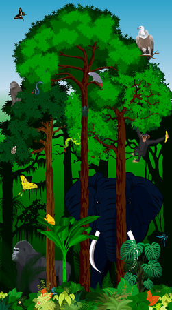 Vector Illustration african tropical jungle rainforest with animalsのイラスト素材