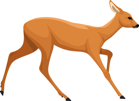 vector cute cartoon baby deer isolated on whiteのイラスト素材