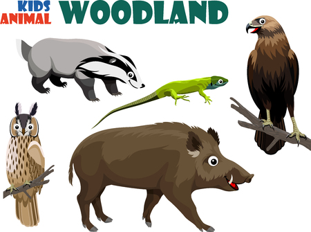 vector set of cute woodland kids animalsのイラスト素材