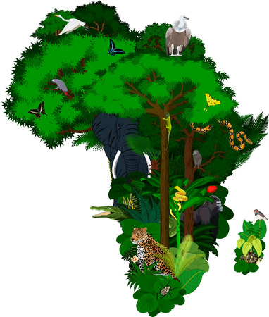 animals and floral Africa - vector illustrationのイラスト素材