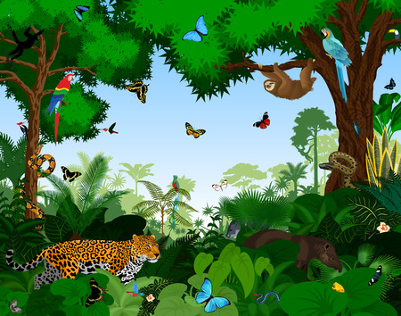 Rainforest with animals vector illustration. Vector Green Tropical Forest jungle with parrots, jaguar, tapir, sloth, anaconda and butterflies.のイラスト素材