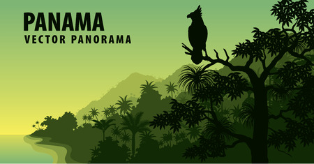 vector panorama of Panama with jungle raimforest with harpy eagleのイラスト素材