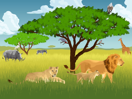 Isolated  illustration concept of avector african savannah with lions, rhino, girrafe, vulture, zebra and heronのイラスト素材