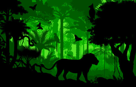 Vector evening tropical rainforest Jungle background with lion, harpy, python and butterfliesのイラスト素材