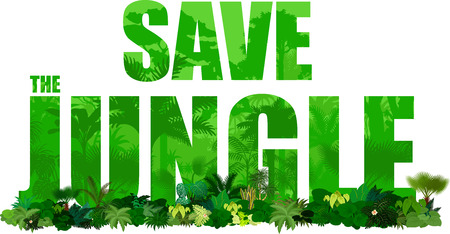 Vector tropical rainforest illustration (Save the jungle)のイラスト素材