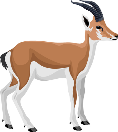 Persian gazelle impalaのイラスト素材