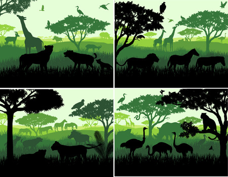 Set of Vector illustrations of african savannah safari landscape with wildlife animals silhouettes in sunset design templatesのイラスト素材