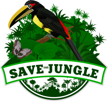 Vector Jungle Emblem with aracari toucanet and butterflyのイラスト素材
