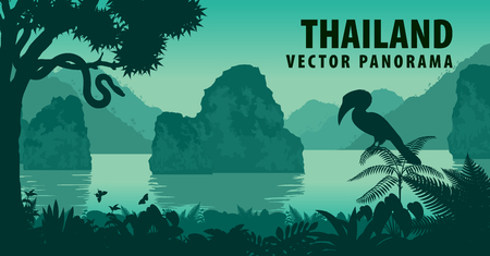 vector panorama of Thailand with great hornbill and python near jungle beachのイラスト素材