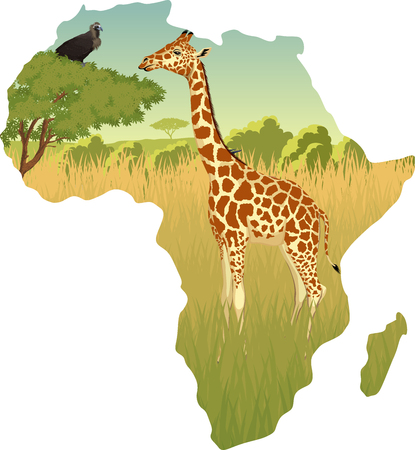African Savannah with giraffe and eagle vulture vector illustration.のイラスト素材