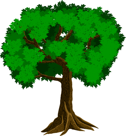 vector tropical jungle rainforest treeのイラスト素材