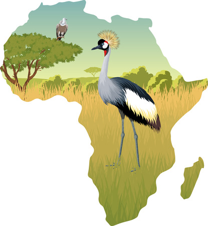 African savannah with crowned crane and eagle vulture - vector illustrationのイラスト素材