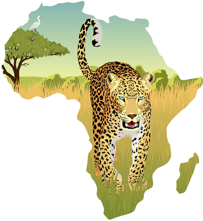 African savannah with heron and leopard - vector illustrationのイラスト素材