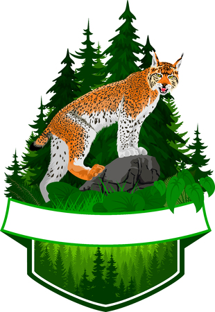 vector woodland emblem with lynxのイラスト素材