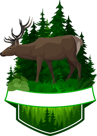vector woodland emblem with deerのイラスト素材