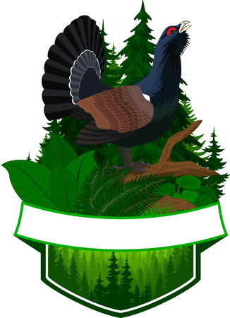 Vector woodland emblem with capercaillie - wood grouseのイラスト素材